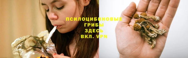 эйфоретик Грязовец