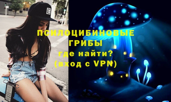 гидропоника Медвежьегорск