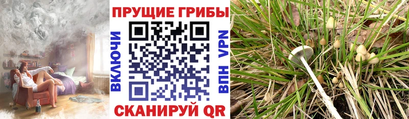 Псилоцибиновые грибы MAGIC MUSHROOMS  Первомайск 